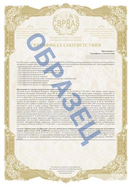 Образец Приложение к СТО 01.064.00220722.2-2020 Гуково Сертификат СТО 01.064.00220722.2-2020 